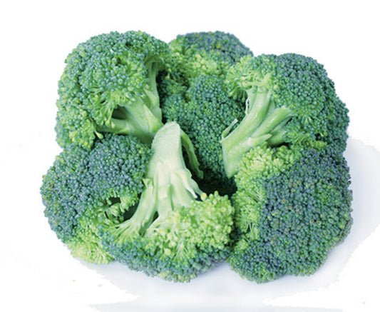 Broccoli