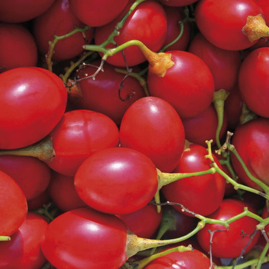 Tamarillo (1Kg)