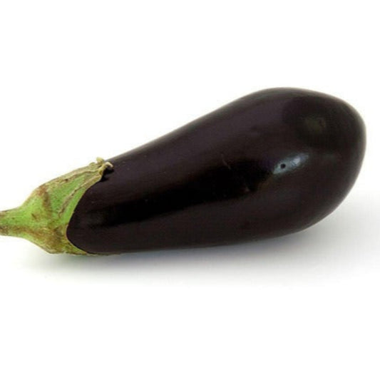 aubergine2