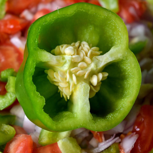 capsicumgreen2