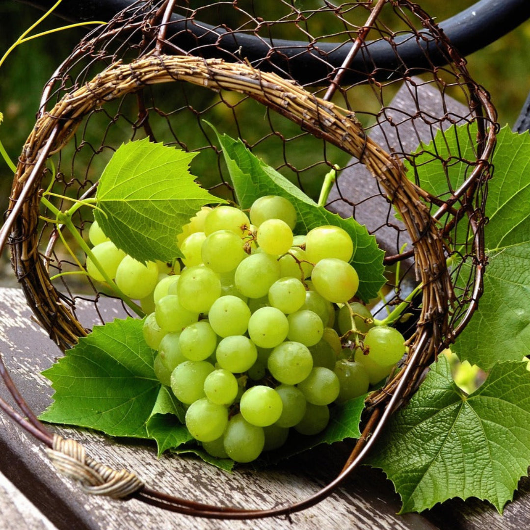 Grapes Green 1Kg The Urban Market grapes-green-1kg-the-urban-market