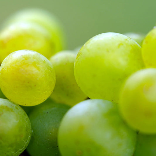 grapesgreen2
