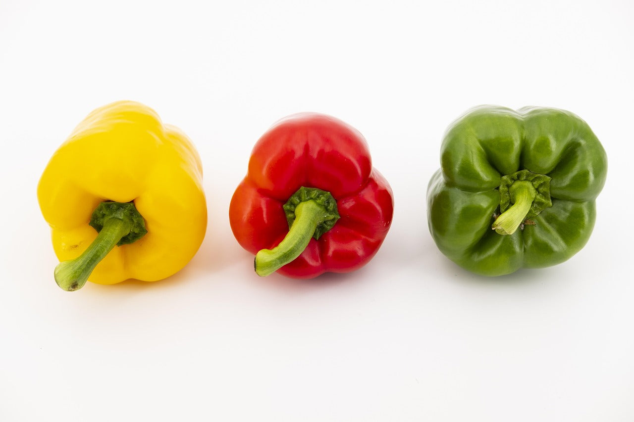 Capsicum Mixed Colour x 3