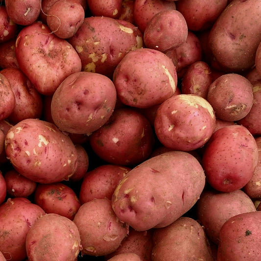 potatoesred2