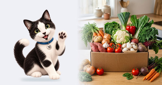 TOM, the TUM.co.nz online personal shopper, a black and white cartoon cat, waving beside a box of fresh fruit and vegetables