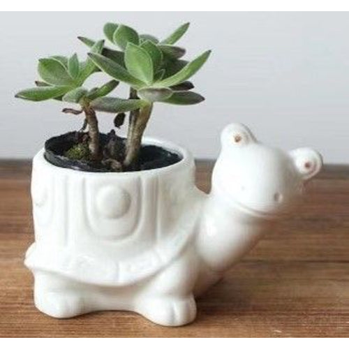 Animal Planters