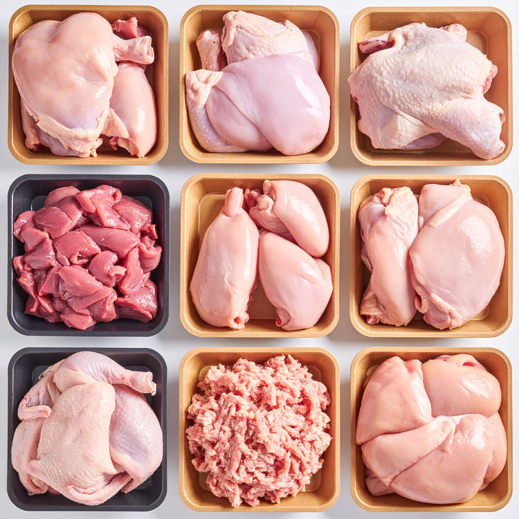 Chicken