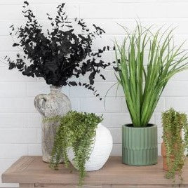 Planters & Plant Pots