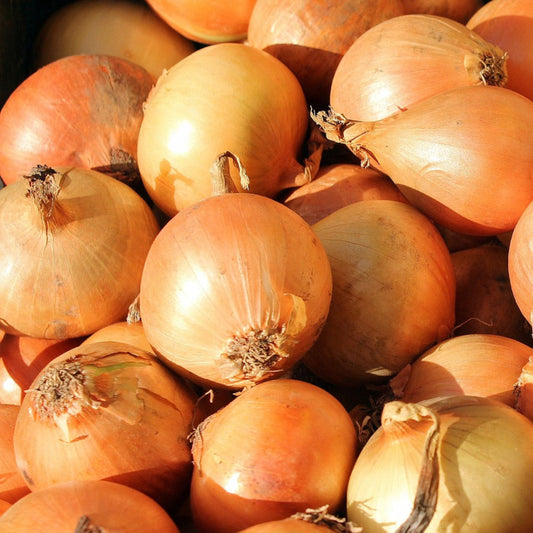 Brown Onions