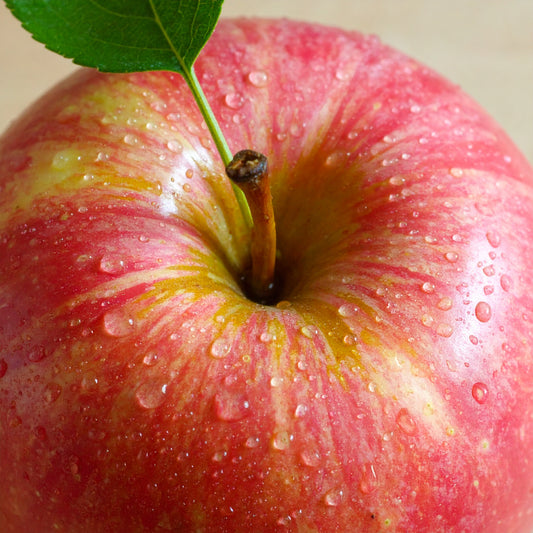 Pink Lady Apples