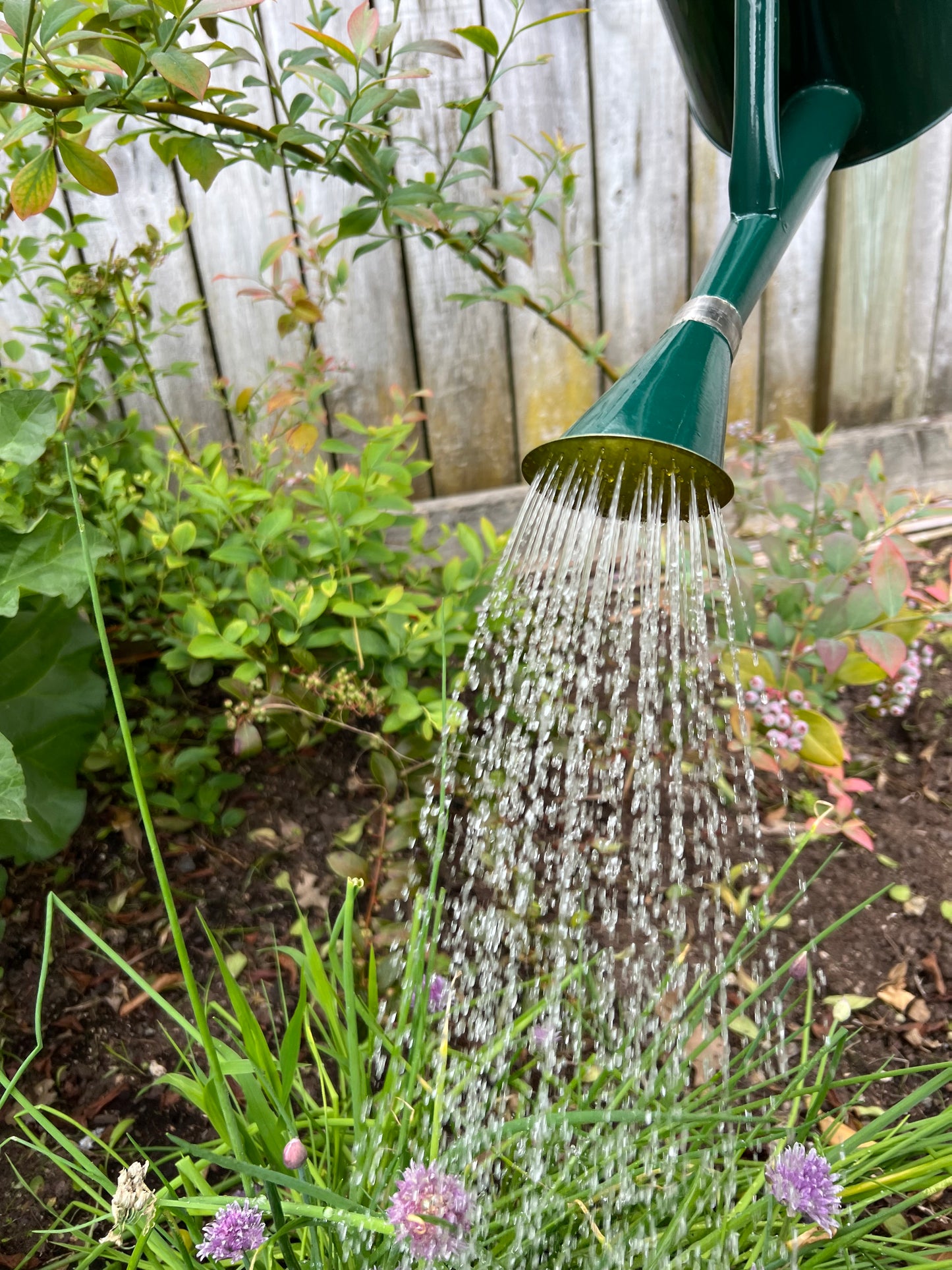 Watering Can Outdoor Green 7.5L