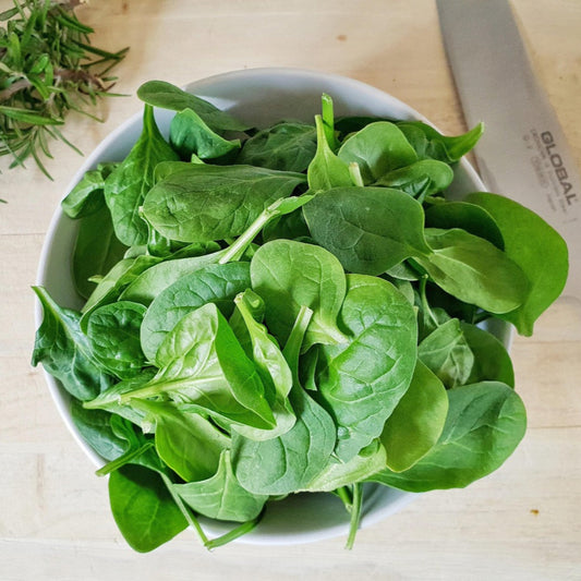 babyspinach1