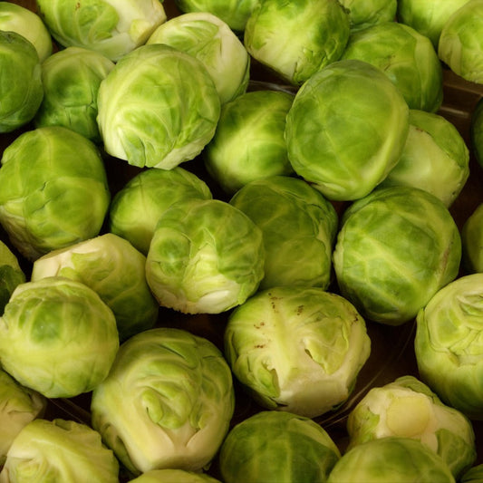 brusselsprouts1