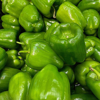 capsicumgreen1