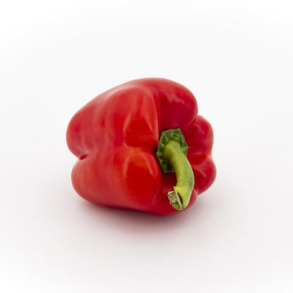 capsicumred3