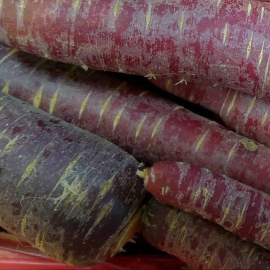 carrotspurple1