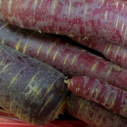 carrotspurple1
