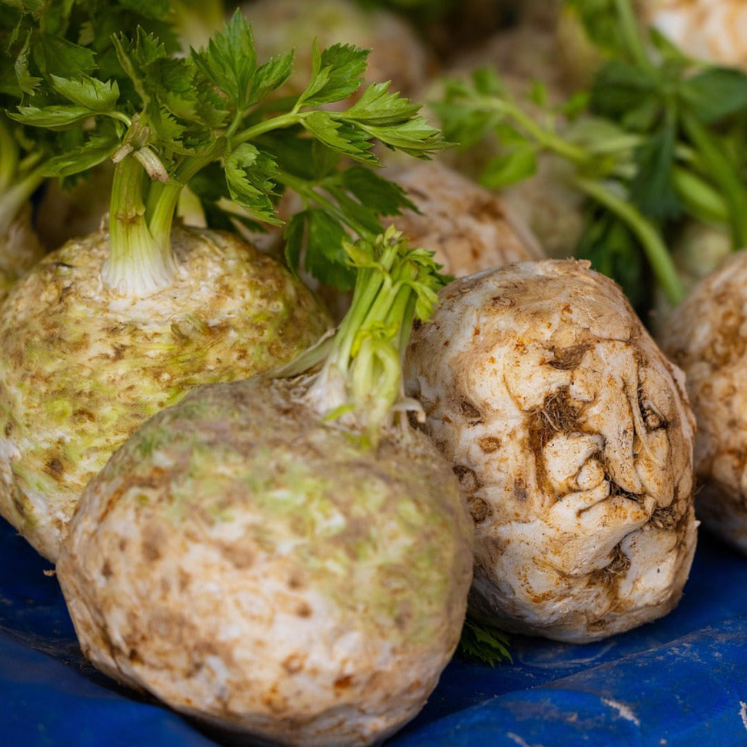 celeriac1