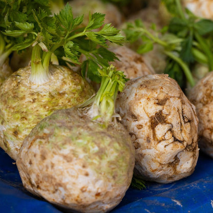celeriac1