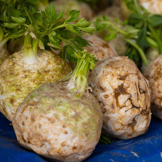 celeriac1