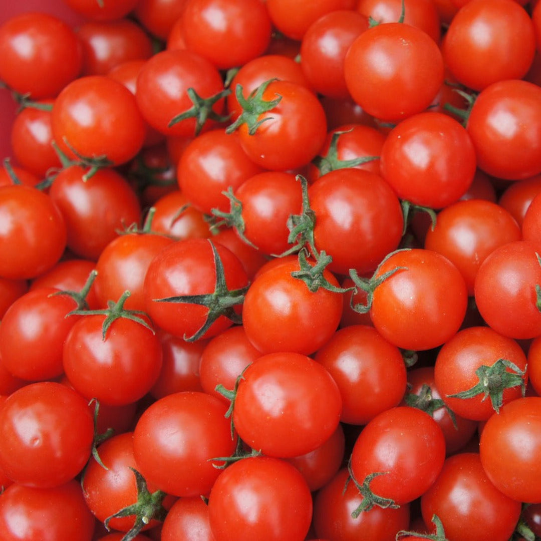 cherrytomato1