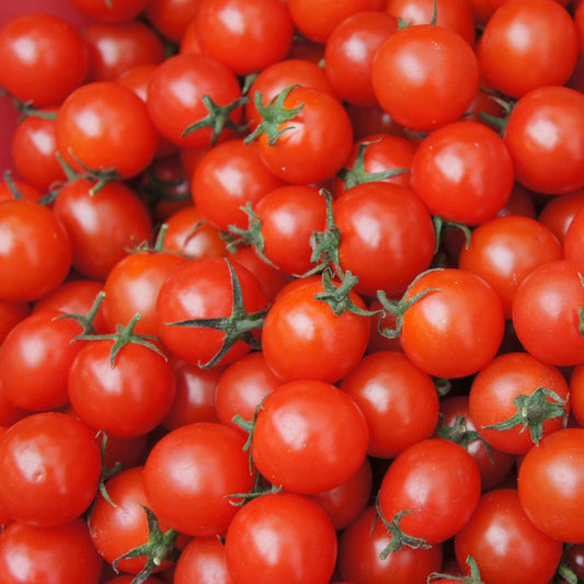 cherrytomato1