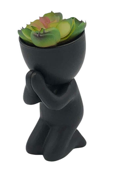 Super Cute Novelty Plant Pots - Faithful