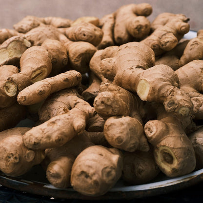 ginger2