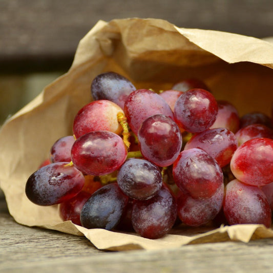 grapesred1