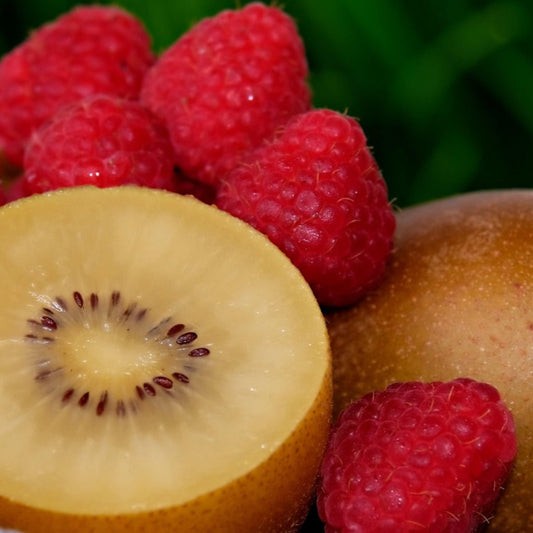 kiwfruitgold1