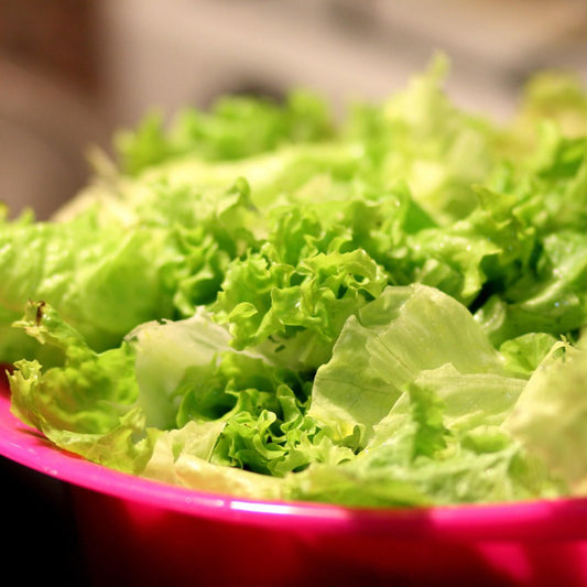 lettuce2
