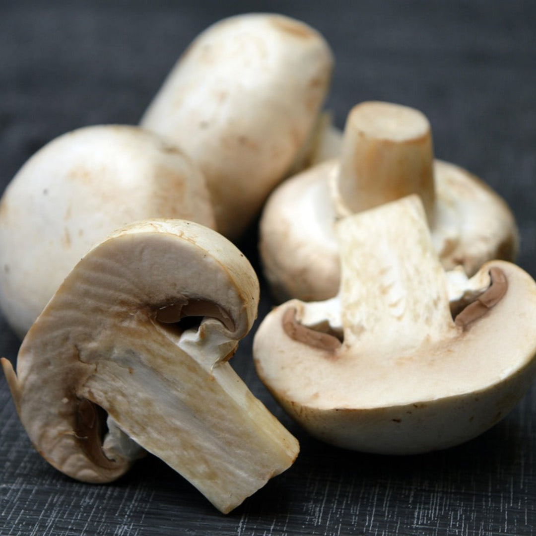 mushrooms3