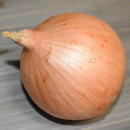 onions3