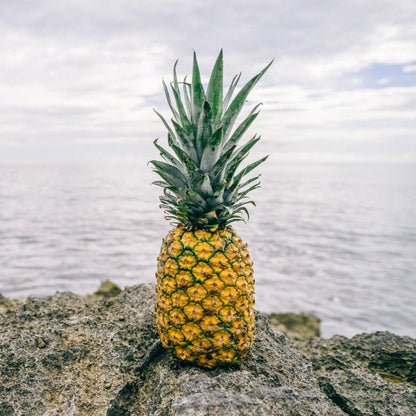pineapple3