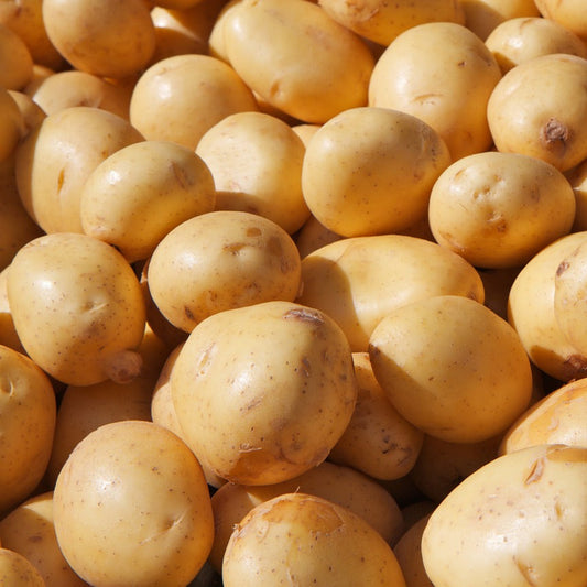 potatoeswashed1